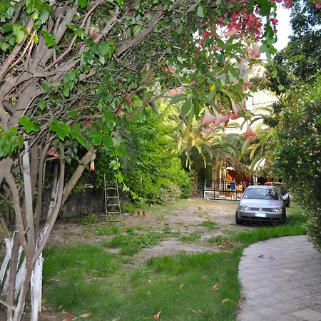 House Litsa 50 Metres From Agios Gordios * Agios Gordios (Corfu)