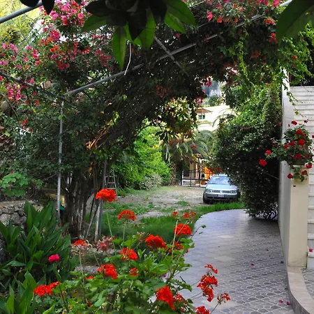 House Litsa 50 Metres From Agios Gordios *